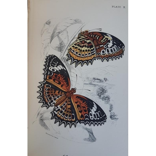 288 - Allen’s Naturalists’ Library, 1894, 5 volumes illustrated with coloured plates – G... 