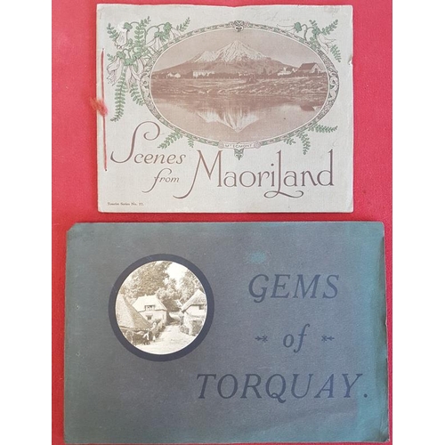 686 - 'Scenes from Maorilland (New Zealand)' (1895). Illustrate; and 'Gems of Torquay' c. 1910. Sepia Plat... 