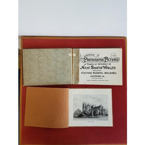 688 - 'One Hundred Photographic Pictures in New South Wales' c. 1895. Hardback; and '24 Photographic Views... 