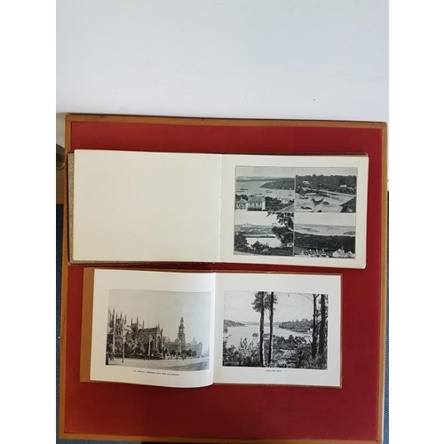 688 - 'One Hundred Photographic Pictures in New South Wales' c. 1895. Hardback; and '24 Photographic Views... 