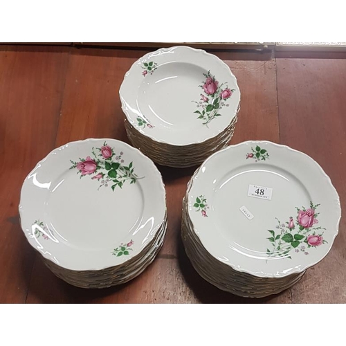 48 - Collection of Dinner Plates, Soup Bowls, etc.