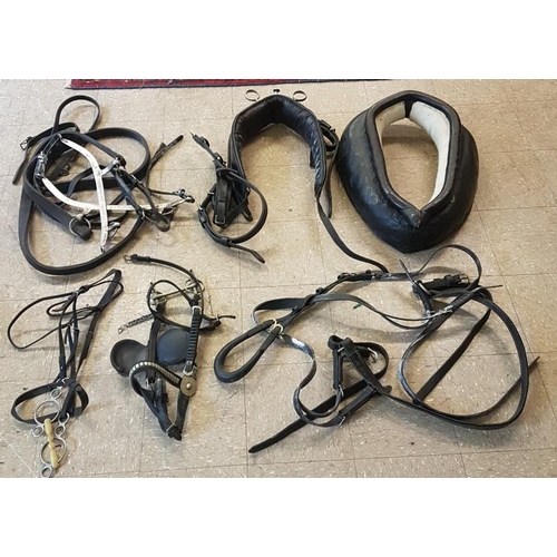 26 - Collection of Leather Horse's Harness - image incorrect