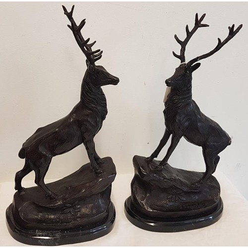 255 - Pair of Large Bronze Stags - c. 18ins tall