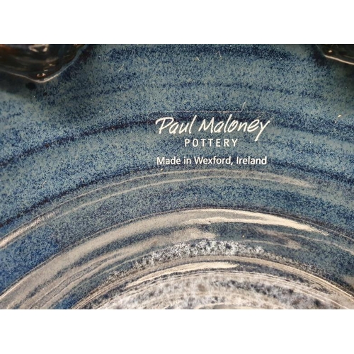 549 - Paul Maloney Potter Centre Bowl