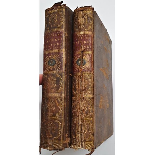 225 - [Alderman Watson of Limerick]. Natural History by Count de Buffon. Volumes v and Vi. 1791. Numerous ... 