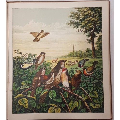 383 - 'The Life and Death of Cock Robin' with the Trial of the Sparrow, From Original Designs, Henry Stann... 