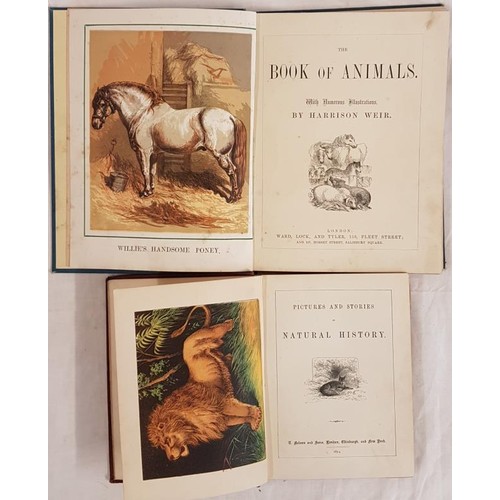388 - Pictures and Stories of Natural History 1874. 1st edit and H. Weir. The Book of Animals. 1893 Two fi... 