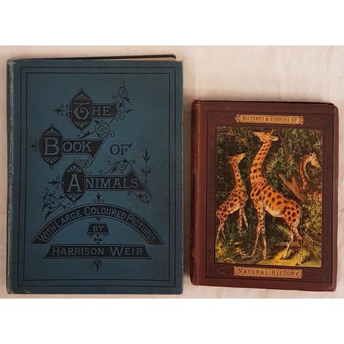 388 - Pictures and Stories of Natural History 1874. 1st edit and H. Weir. The Book of Animals. 1893 Two fi... 