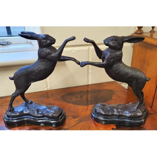 268 - Unusual Pair of Bronze Boxing Hares on stepped marble bases