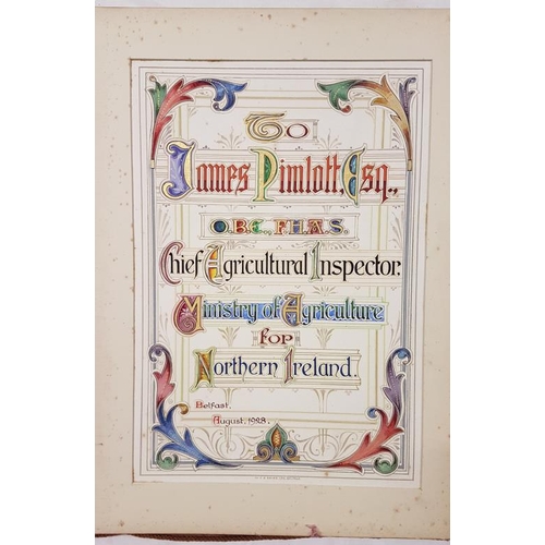 423 - Illuminated Address. To James Pinelott Esq. Chief Agricultural Inspector, Ministry of Agriculture fo... 