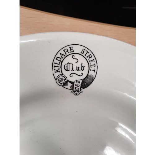 505 - Pair of Kildare Street Club Plates by Arklow Pottery