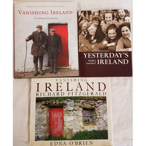 563 - James Fennell and Turtle Bunbury – Vanishing Ireland – Friendship and Community 2013. Pages 182. Ill... 