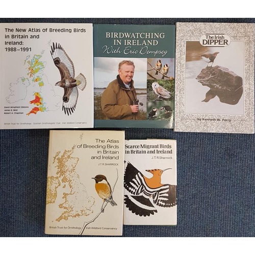 592 - Five titles relating to Irish Birds: Gibbons David Wingfield; Reid, James B and Chapman, Robert A. T... 