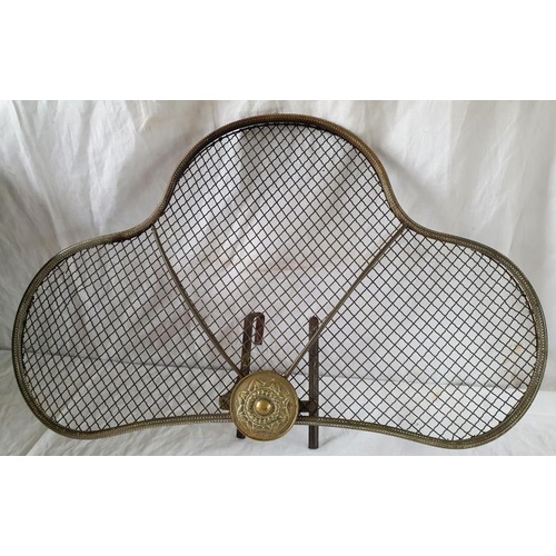 58 - Late 19th Century Brass and Iron Fire Guard (hinges clip to front gate)