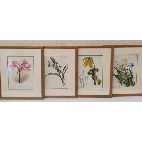 362 - Late 19th Century: Set of Four stunning Chromolithographs of Garden Flowers set in pale oak contempo... 