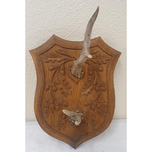 370 - Mounted Deer Antlers on a well carved oak leaf oak panel