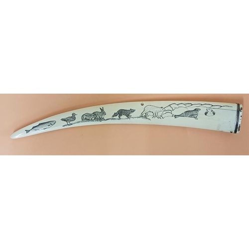 85 - 19th Century superb quality Polar Arctic Ivory Scrimshaw Tusk. Depicting Arctic Animals and a Cribba... 