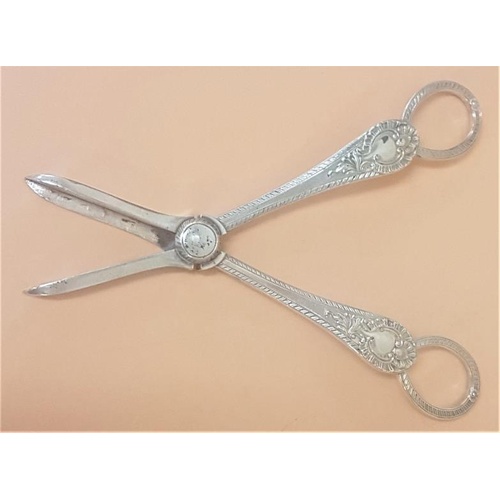 183 - 19th Century Silver Plated Grape Scissors of fine quality. Silver plating good (clean). 17cm long.- ... 