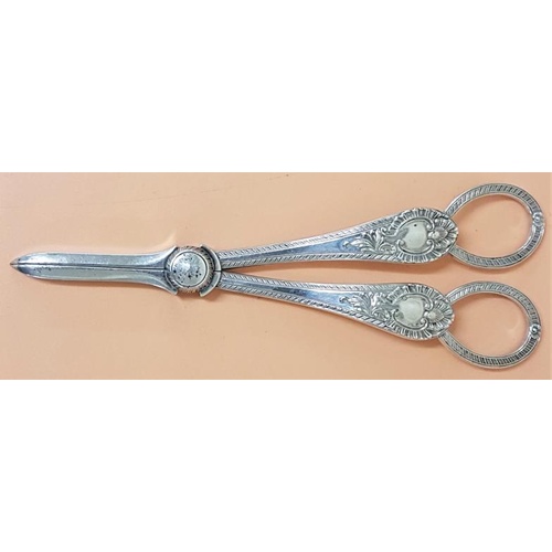 183 - 19th Century Silver Plated Grape Scissors of fine quality. Silver plating good (clean). 17cm long.- ... 