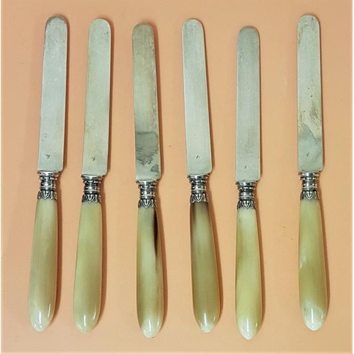 223 - Set of fine quality Late 19th Century Dresser Knives with horn handles (probably Paris)