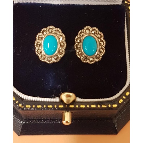 259 - Pair of 925 Silver and Turquoise Earrings