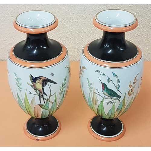 333 - 19th Century - Superb Pair of handpainted vases. Birds in Naturalistic setting, lovely colouring. On... 