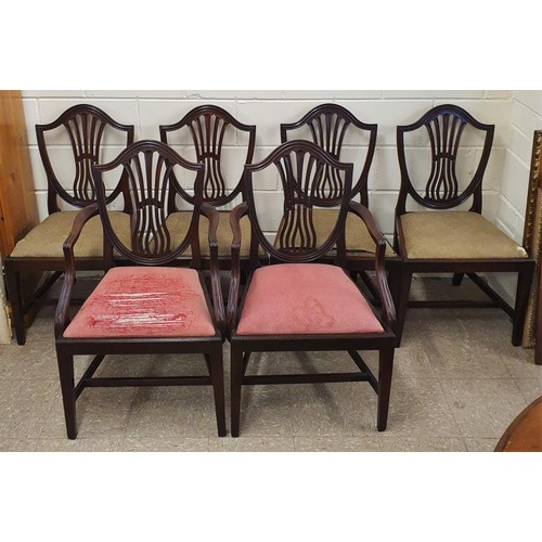 466 - Set of Six (2 carvers & 4 chairs) Mahogany Dining Chairs in Hepplewhite style