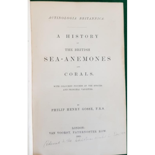113 - Philip Henry Gosse, A History of the British Sea-Anemones and Corals, London Van Voorst, 1st ed; col... 