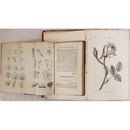 169 - P. Wakefield  An introduction to Botany. 1796. First edit. 11 botanical plates. Original calf;&... 