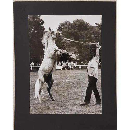 608 - Black and white Photo – 20” x 15” Benson and Hedges National Press Awards 1983 Feature Picture photo... 