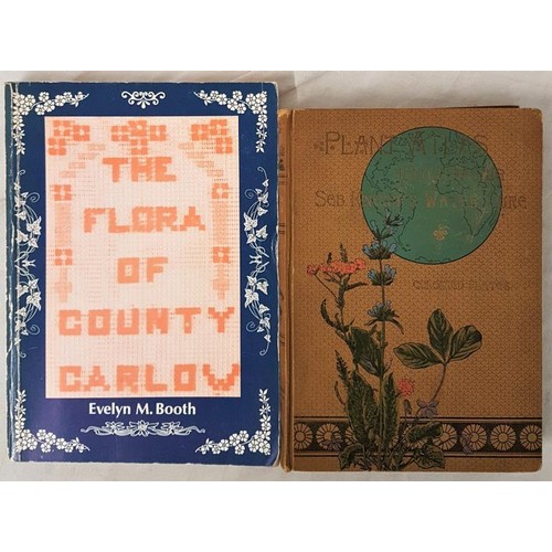 96 - Evelyn M. Booth The Flora of Co. Carlow 1979;  and S. Knipp Plant Atlas. 18983. With 41 co... 