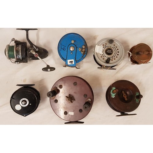52 - Collection of Seven Fishing Reels