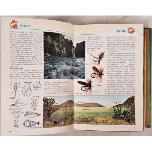 147 - The Fisherman's Handbook - 3 volumes of magazines numbers 1-78 in original binders