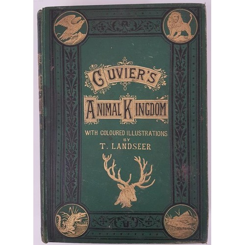 36 - Cuvier Baron The Animal Kingdom, 1 volume, London 1884 with coloured illustrations by T. Landseer... 