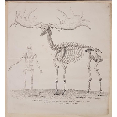 87 - P.J. Buchoz. Traite Physique et Medicinal Physique et Medicinal De L’Homme. Paris . 1790. Foli... 