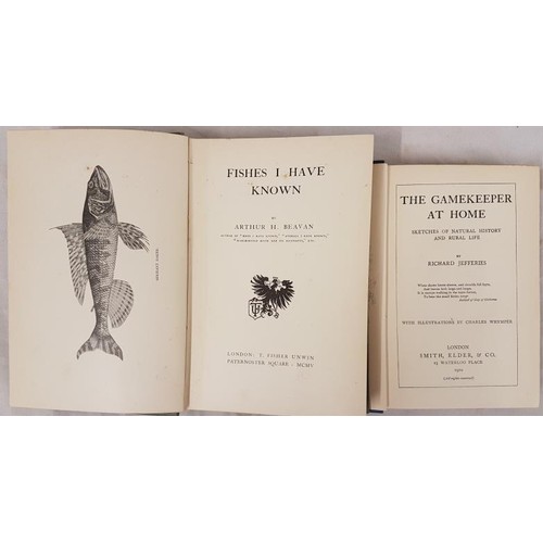 149 - Fishes I have Known, Arthur H Beavan, 1905, First Edition, T Fisher Unwin, Hardback, with black and ... 