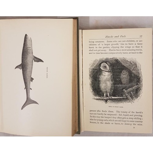 149 - Fishes I have Known, Arthur H Beavan, 1905, First Edition, T Fisher Unwin, Hardback, with black and ... 