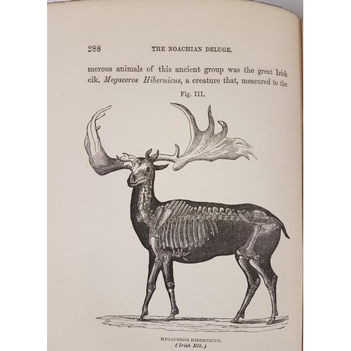 156 - Miller, Hugh The Testimony of the Rocks; 1 Volume, Edinburgh 1865