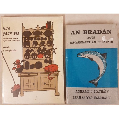 157 - An Bradán- agus Iascaireacht an Bhradain, Aonraoi Ó Liotháin/Seamus Mac Ualghai... 