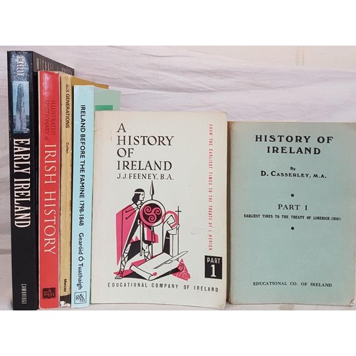 214 - Irish history: J. J. Feeney  A History Of Ireland Part 1, 1960. Pages 134, illustrated; Ca... 