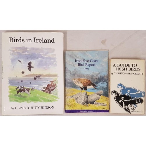 254 - Clive D Hutchinson  Birds in Ireland. Hardcover 1989. Pages 216, quarto. Illustrated; Christoph... 