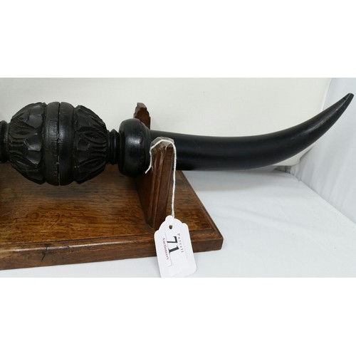 71 - Unusual ebonised carved wood horns on an oak base Early 20th Century. Horns tip to tip 24 inche... 