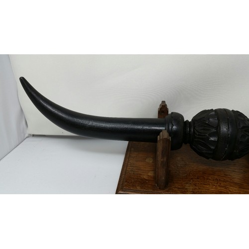71 - Unusual ebonised carved wood horns on an oak base Early 20th Century. Horns tip to tip 24 inche... 