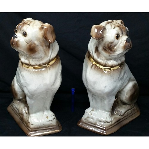 105 - A superb pair of late 19th / early 20th Century Staffordshire pug dogs in excellent c... 