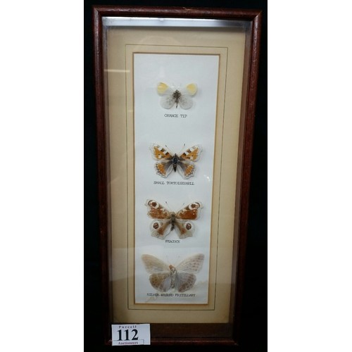 112 - A cased set of late 20th Century butterflies, orange tip, small tortoiseshell Peacock and silve... 