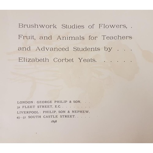 22 - Brush-Work Studies of Flowers, Fruit and Animals by Elizabeth Corbet Yeats. London, George Philip. 1... 