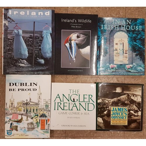 711 - Dublin Be Proud by Liddy, The Angler In Ireland, James Joyce's Odyssey, In An Irish House by Sybil C... 