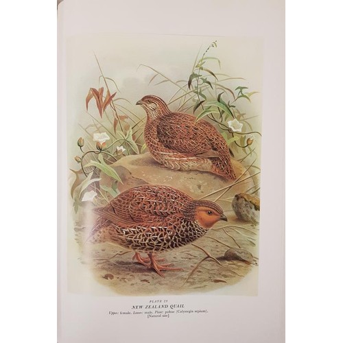 20 - Buller’s Birds of New Zealand: a new Edition of Sir Walter Lowry Buller’s “A Histo... 