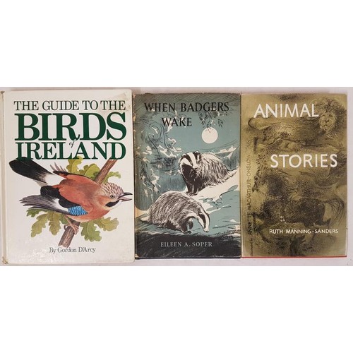 185 - The Guide to the Birds of Ireland, Gordon D’Arcy, First Edition, First Printing, 1981, Irish W... 