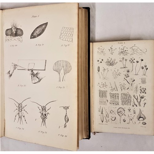 316 - E. Lankester. Half Hours With the Microscope. 1864. Illustrated; and A Manual of Microscopic Mountin... 